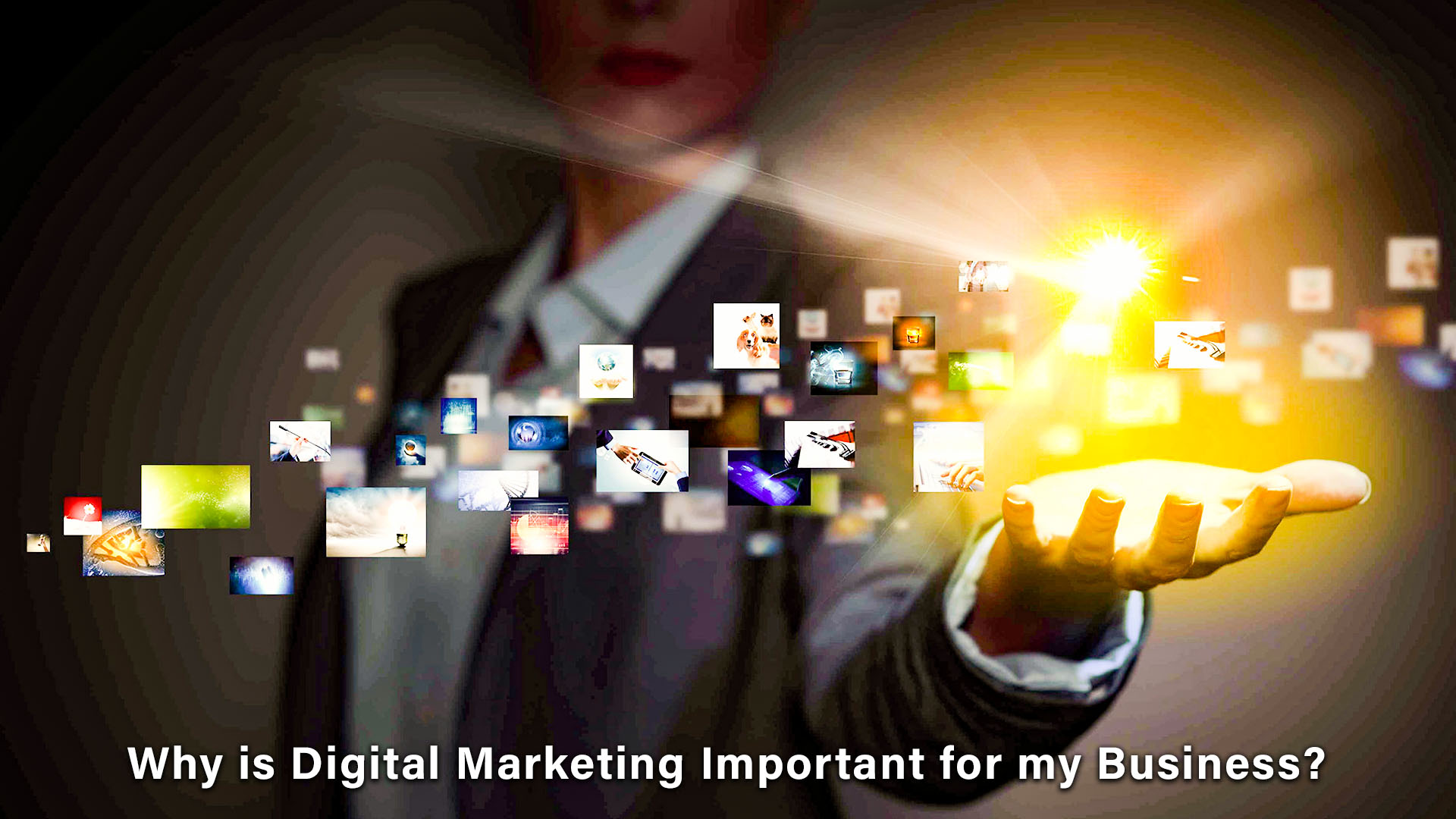 Black Belt Digital Marketing Course
