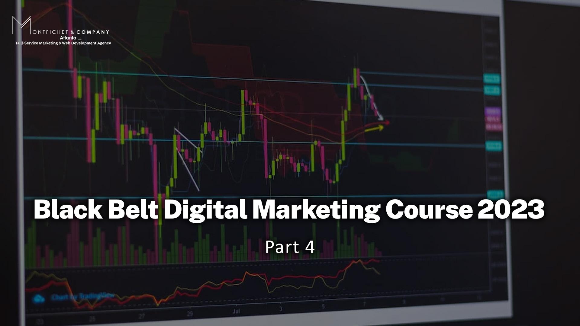 Black Belt Digital Marketing Course 2023: Part Four 