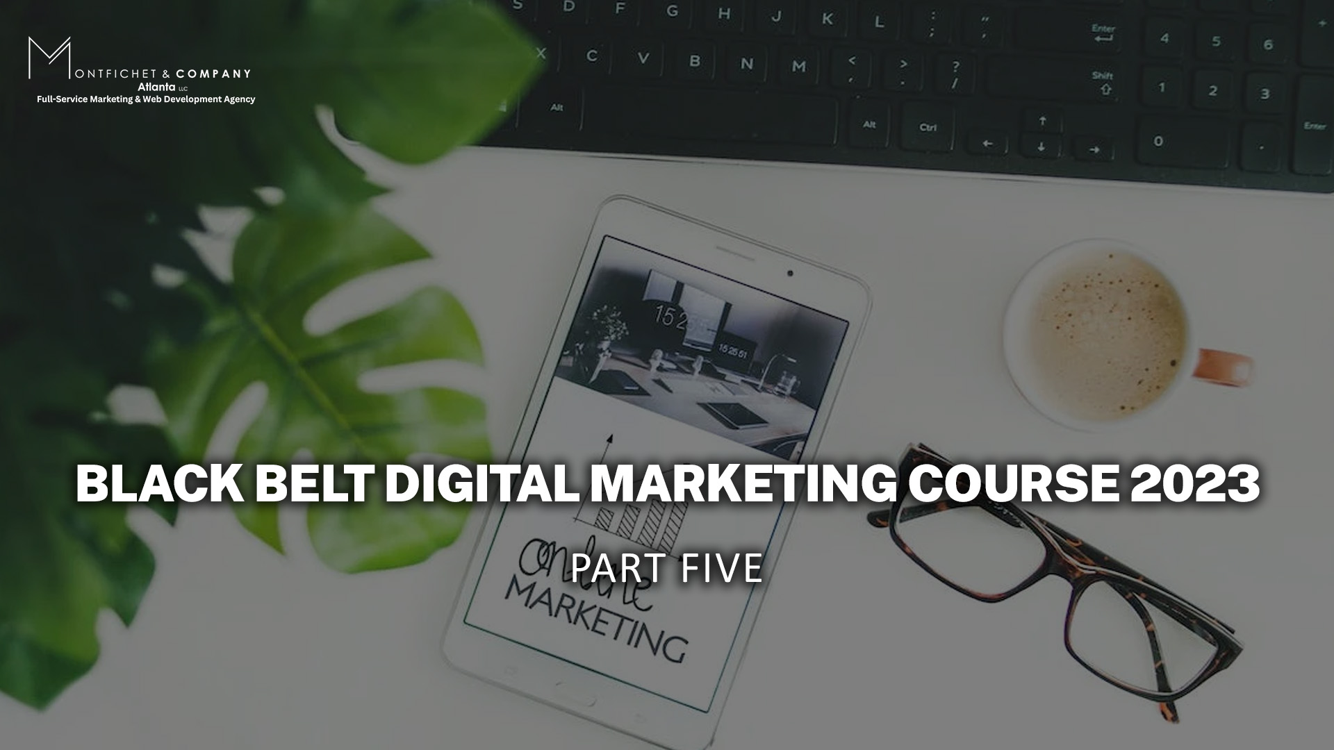 Elite Black Belt Digital Marketing Course 2023: Part Five